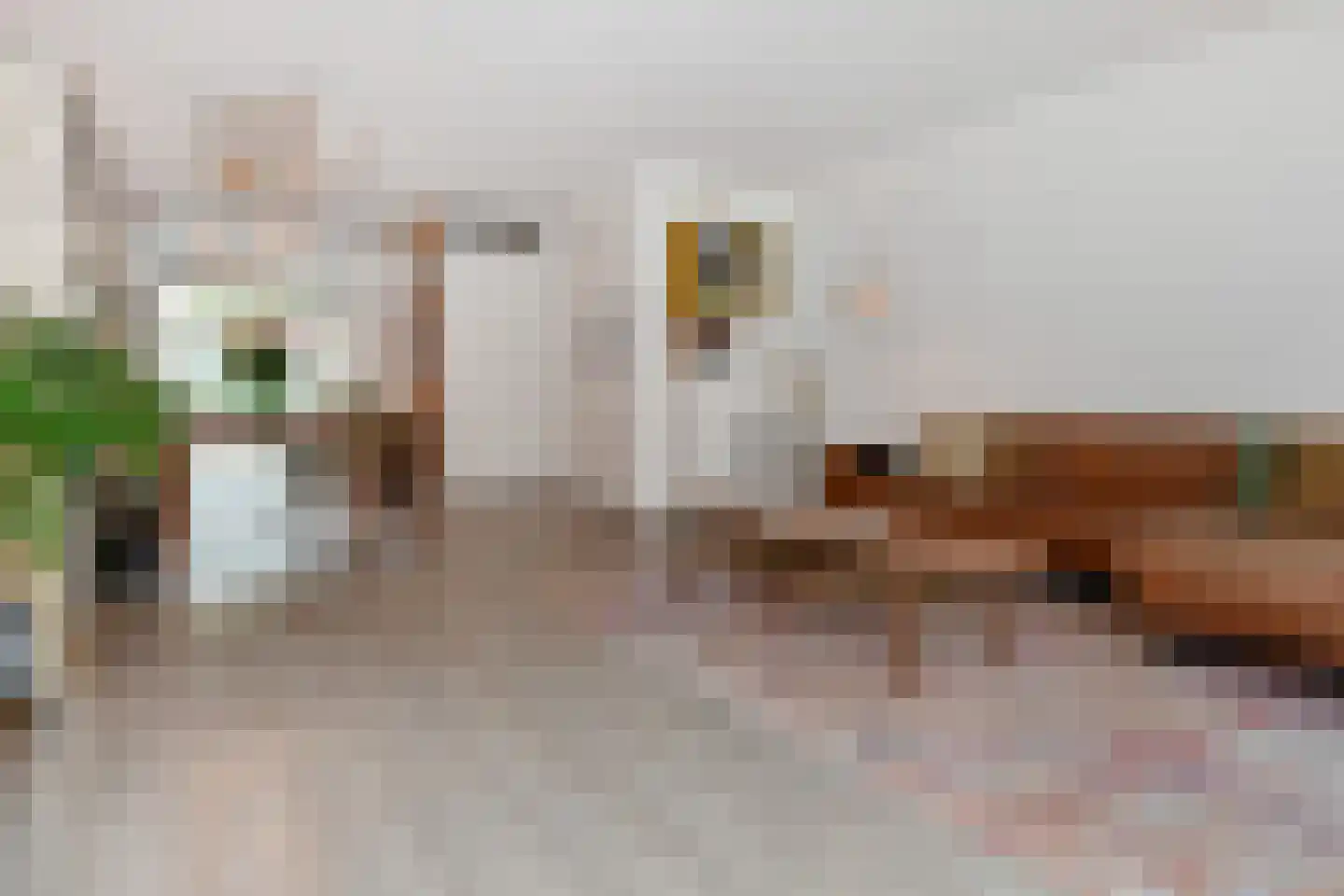 Pieter de Voisstraat 1 Den Haag thumbnail 10