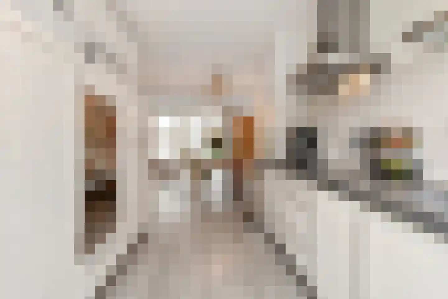 Pieter de Voisstraat 1 Den Haag thumbnail 14
