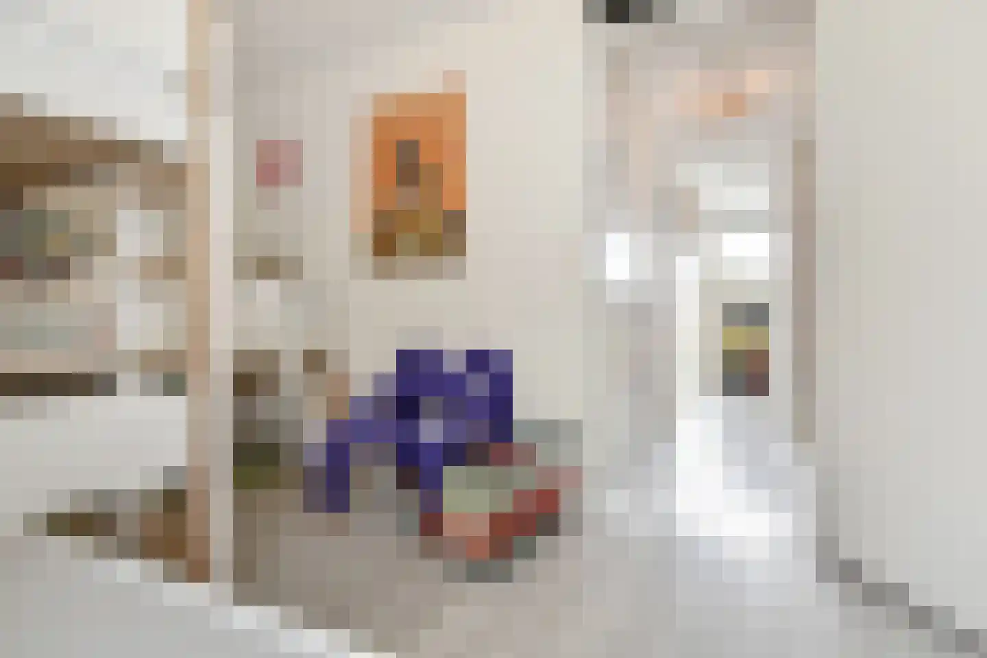Pieter de Voisstraat 1 Den Haag thumbnail 26