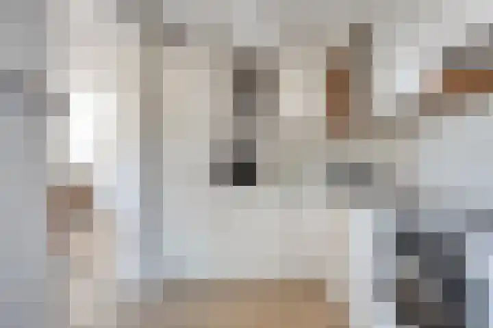 Pieter Dekkerstraat 11 Winkel thumbnail 7