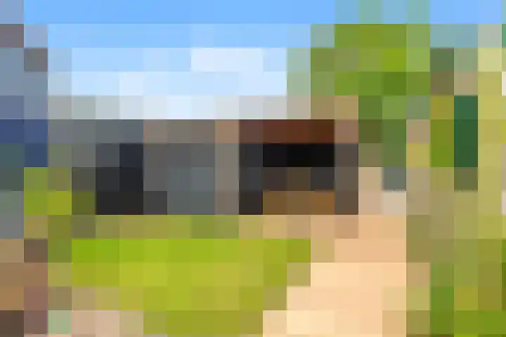 Pieter Dekkerstraat 15 Winkel thumbnail 5
