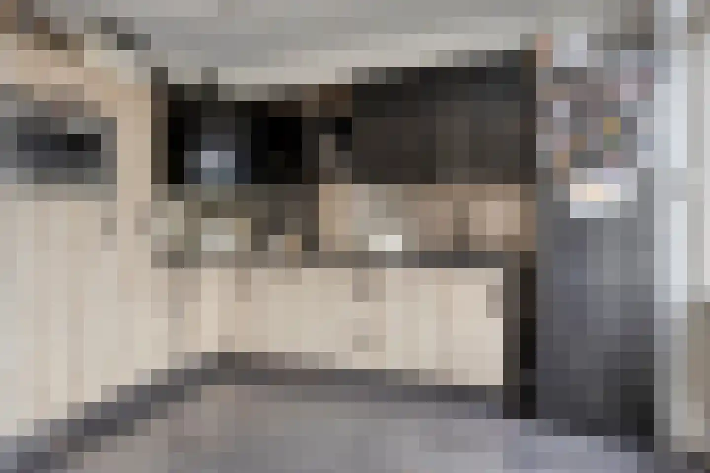 Pieter Densstraat 19 Breda thumbnail 14
