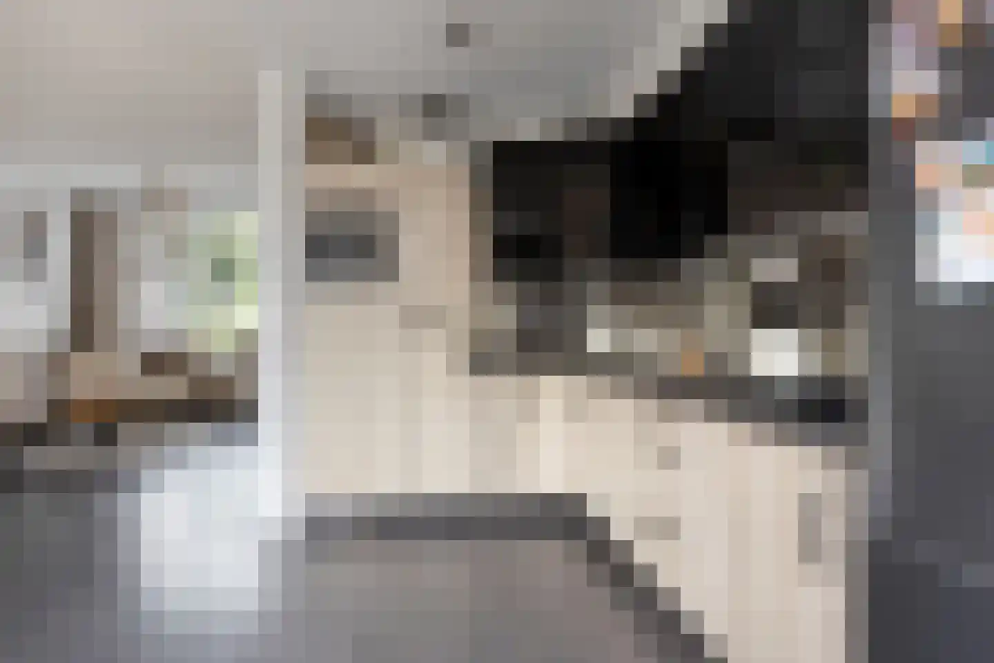 Pieter Densstraat 19 Breda thumbnail 15