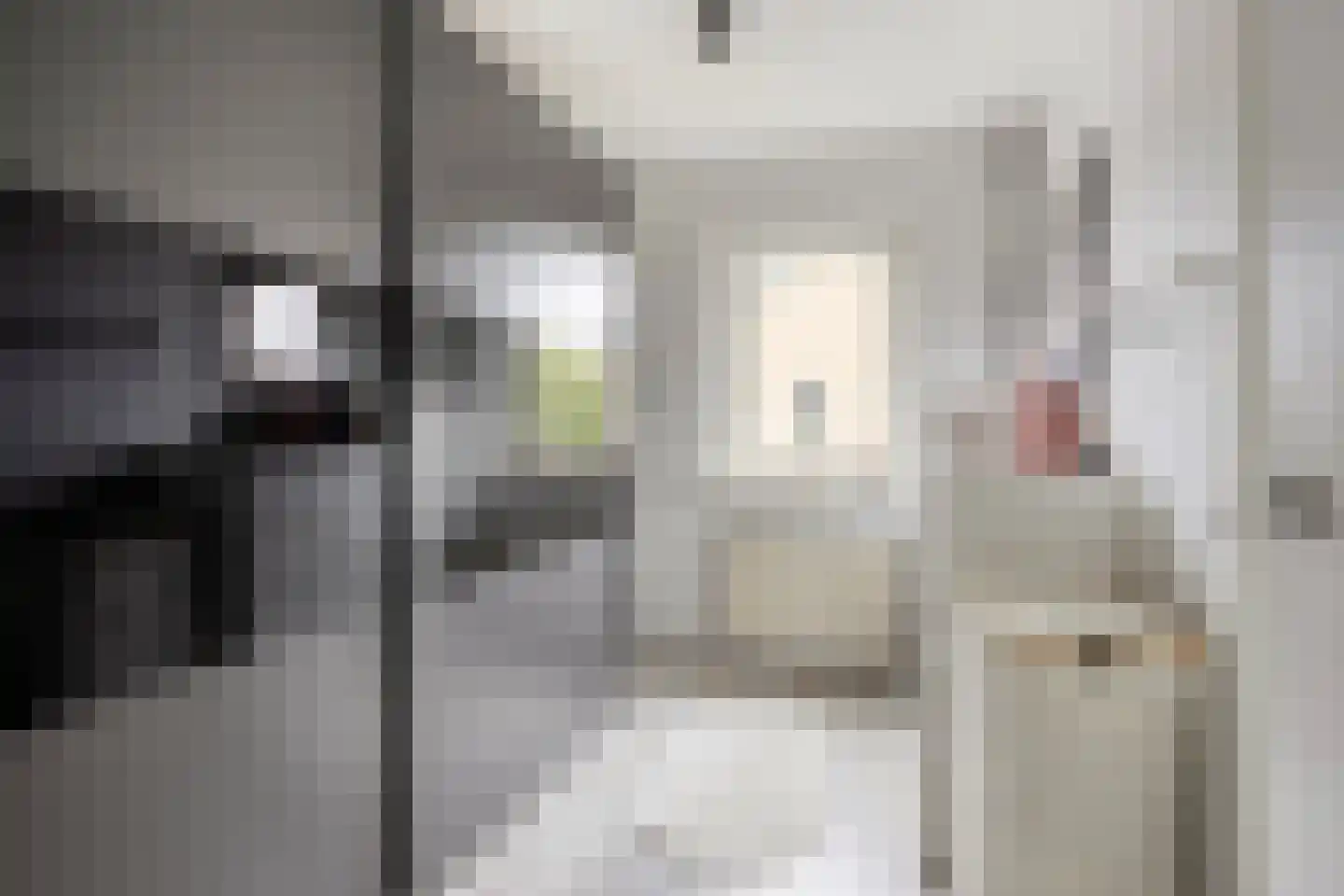 Pieter Densstraat 19 Breda thumbnail 27