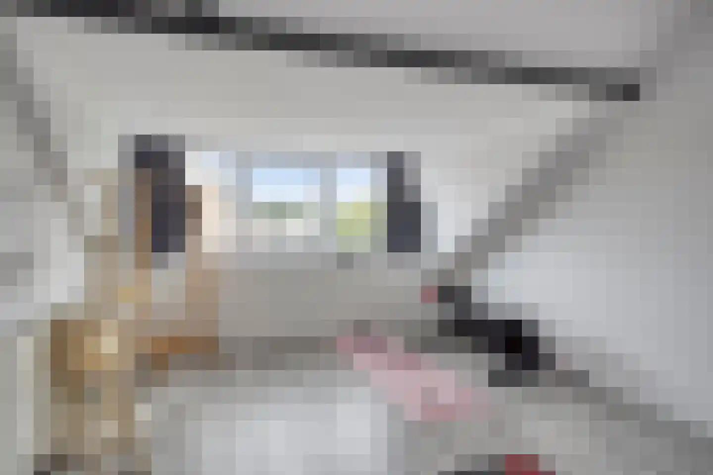 Pieter Densstraat 19 Breda thumbnail 31