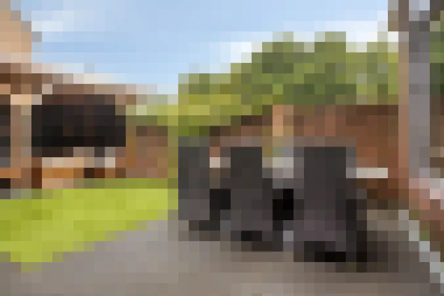Pieter Densstraat 19 Breda thumbnail 34