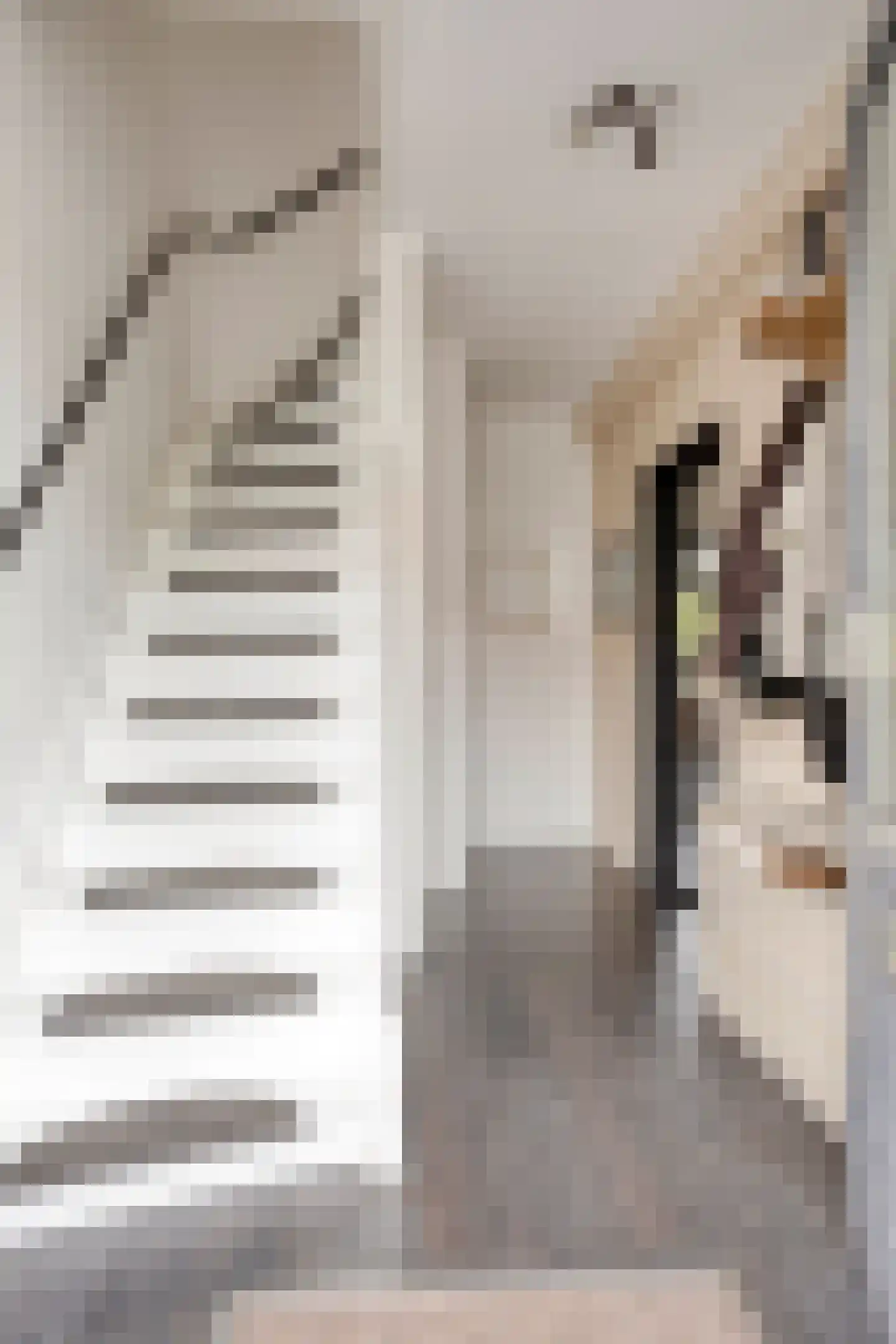 Pieter Densstraat 19 Breda thumbnail 4