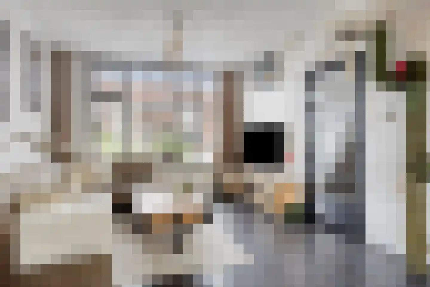 Pieter Densstraat 19 Breda thumbnail 8