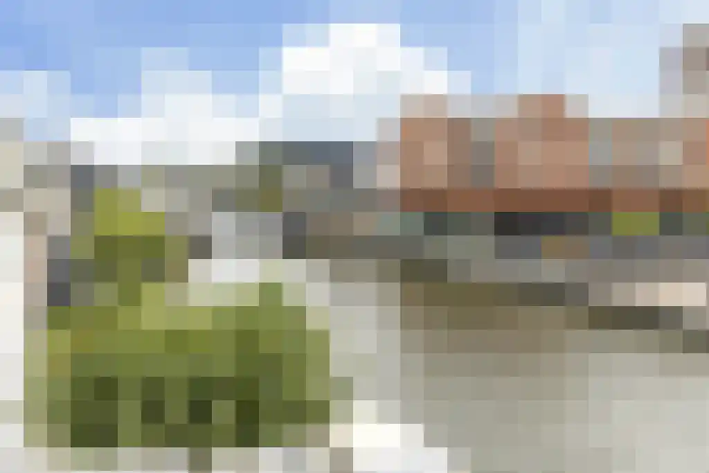Pieter Doelmanstraat 13 C Alphen aan den Rijn thumbnail 5