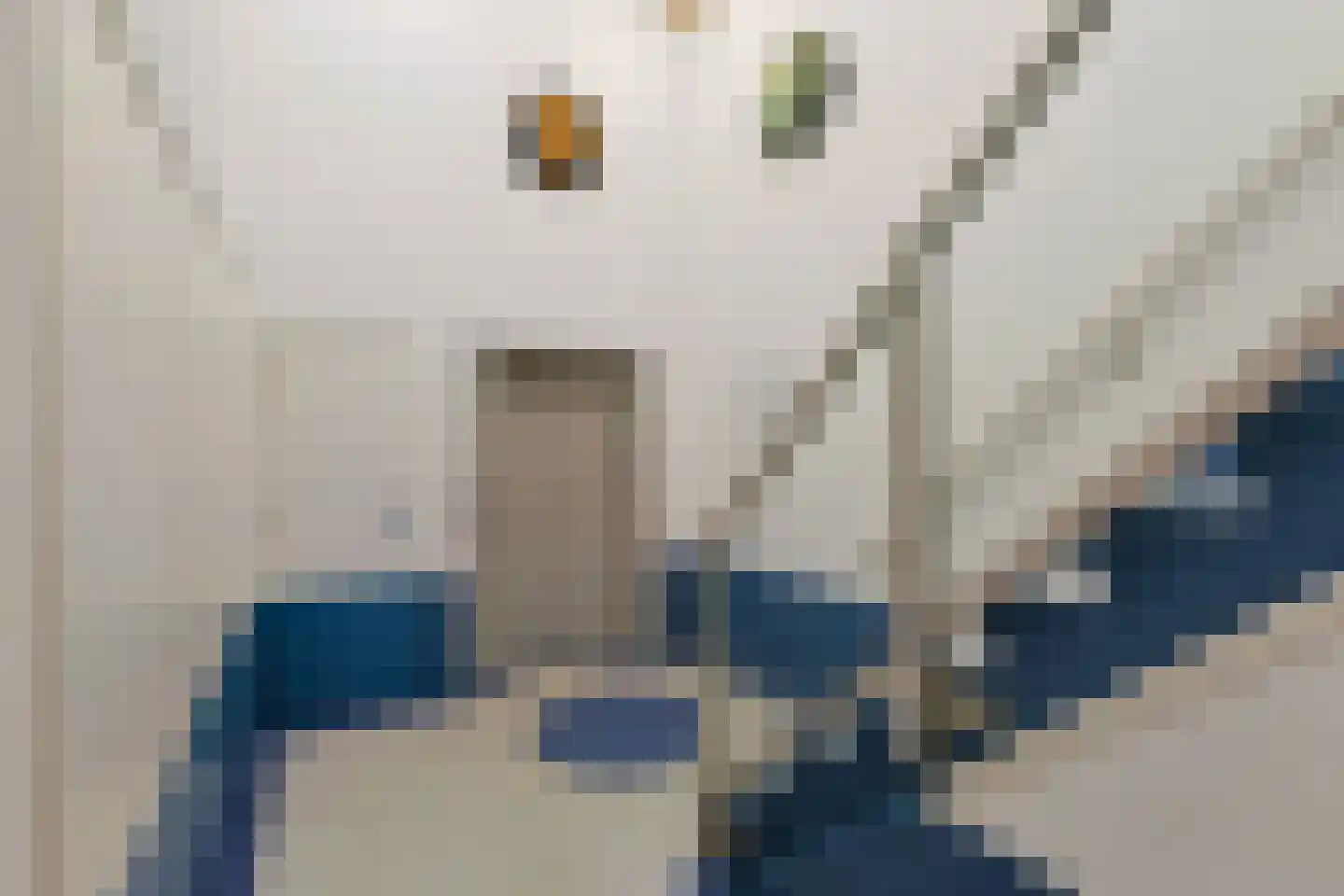 Pieter Doelmanstraat 5 F Alphen aan den Rijn thumbnail 4