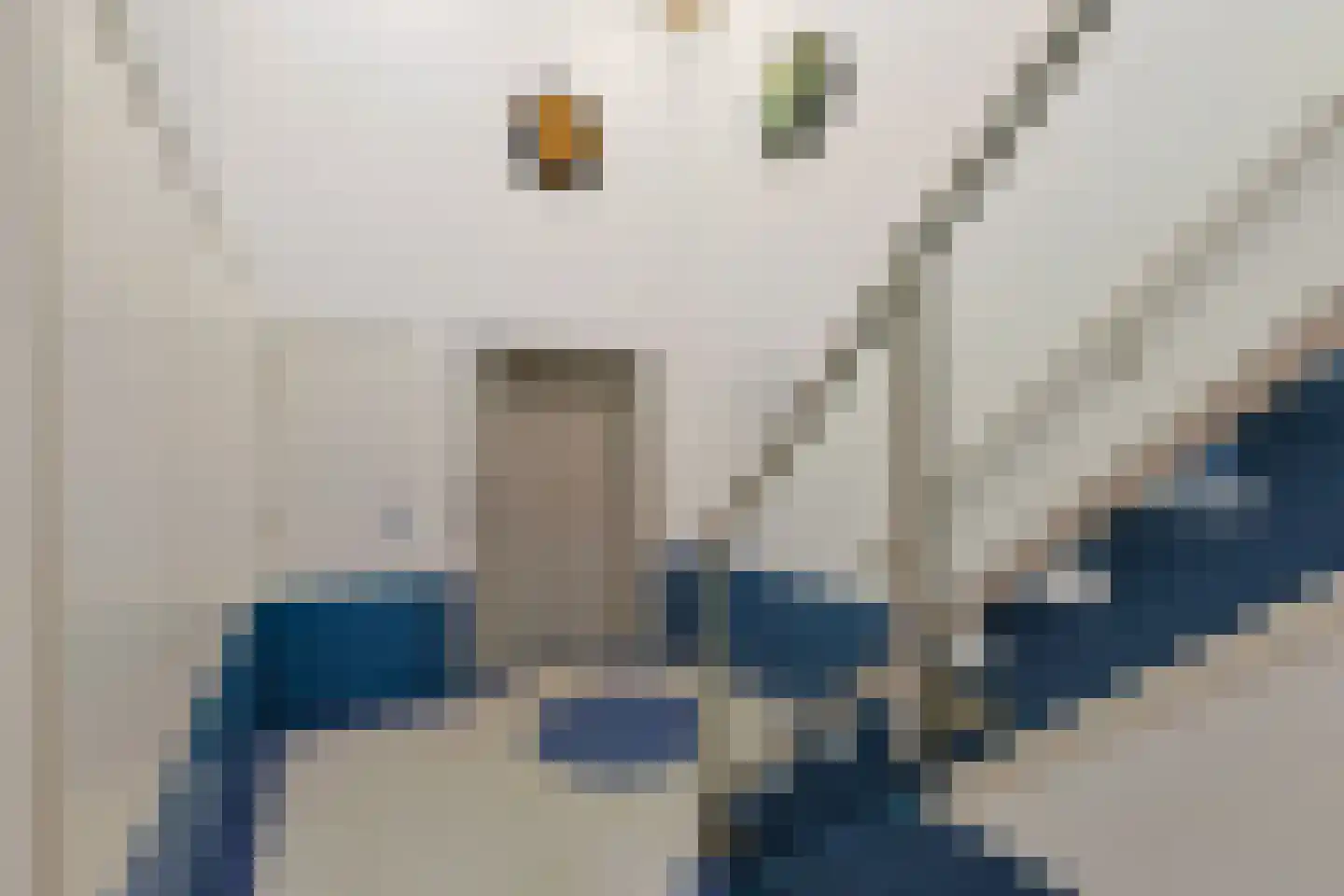 Pieter Doelmanstraat 5 F Alphen aan den Rijn thumbnail 4
