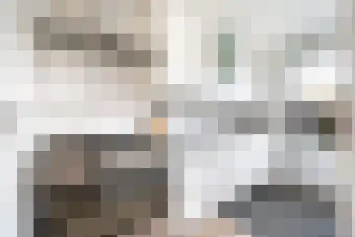 Pieter Duvelaer van Campenstraat 15 Middelburg thumbnail 6