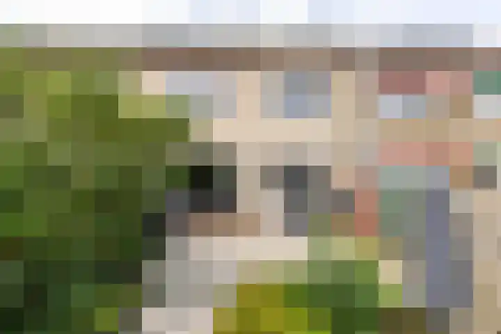 Pieter Duvelaer van Campenstraat 27 Middelburg thumbnail 15