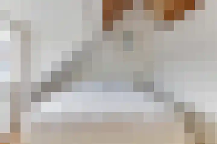 Pieter Florisstraat 1 Hoorn thumbnail 22