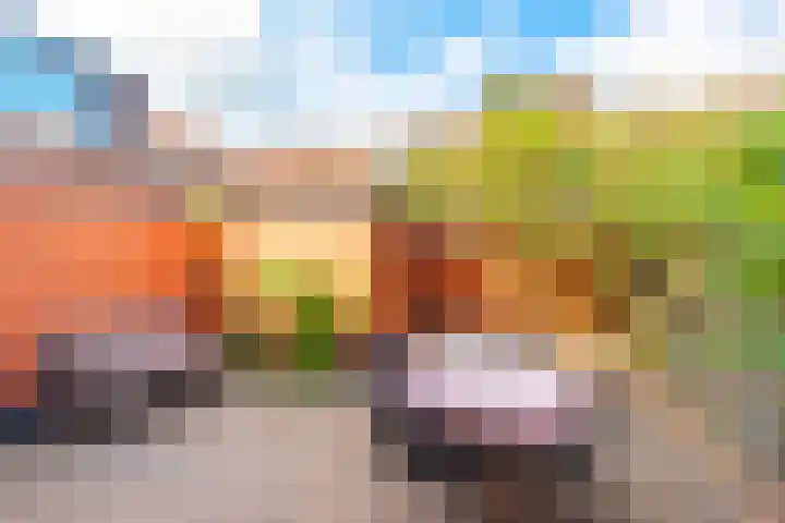 Pieter Florisstraat 1 Hoorn thumbnail 31