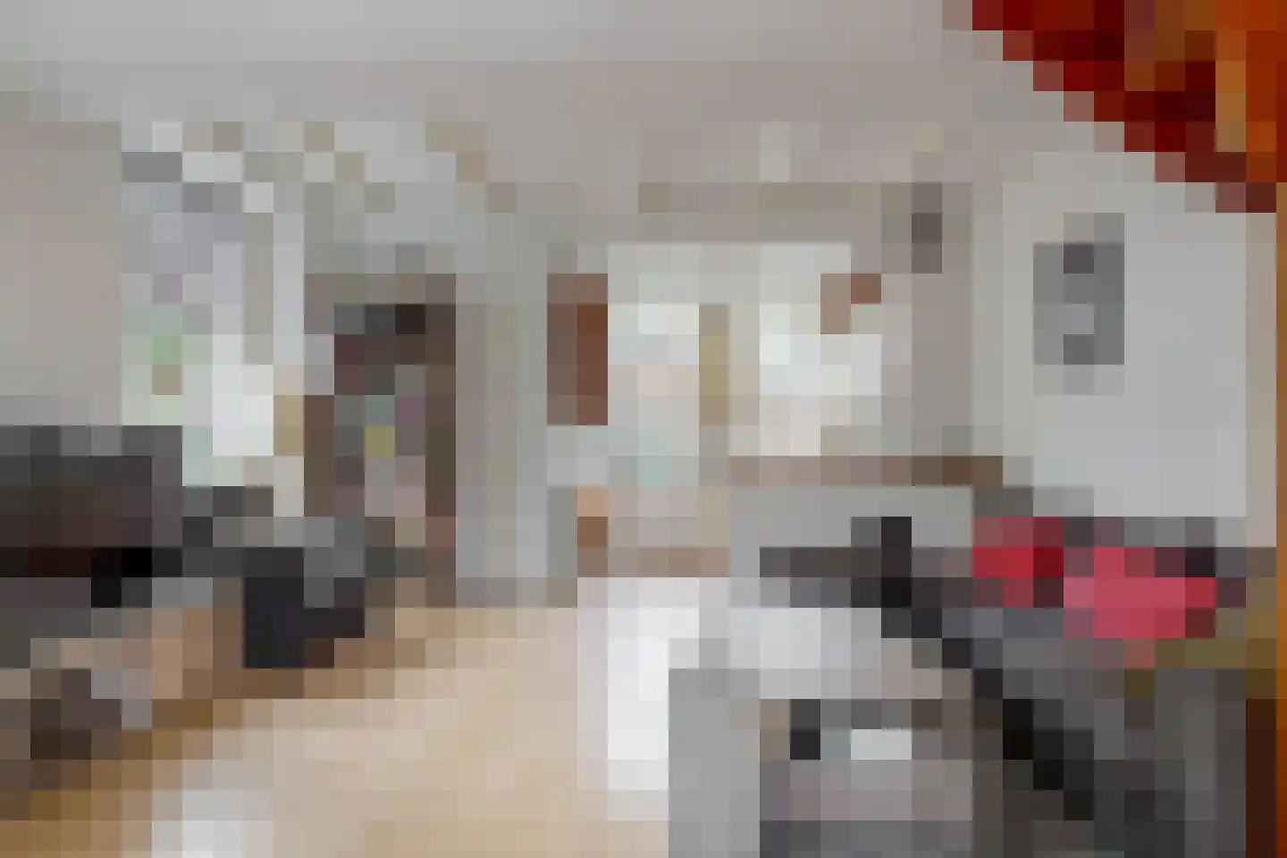 Pieter Florisstraat 15 Hoorn thumbnail 10