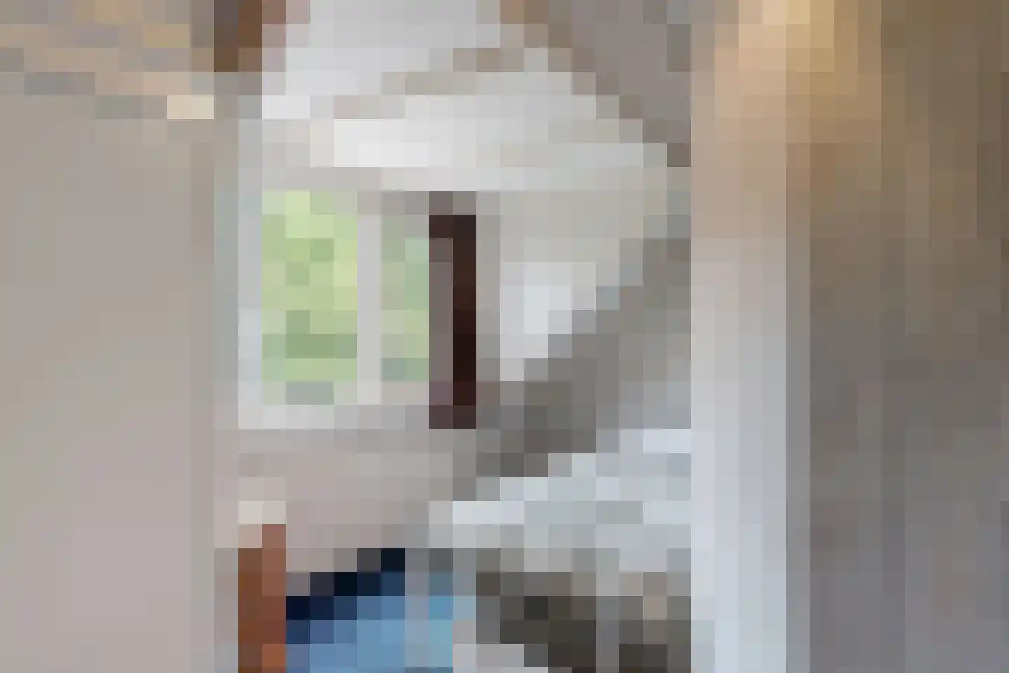 Pieter Florisstraat 15 Hoorn thumbnail 16