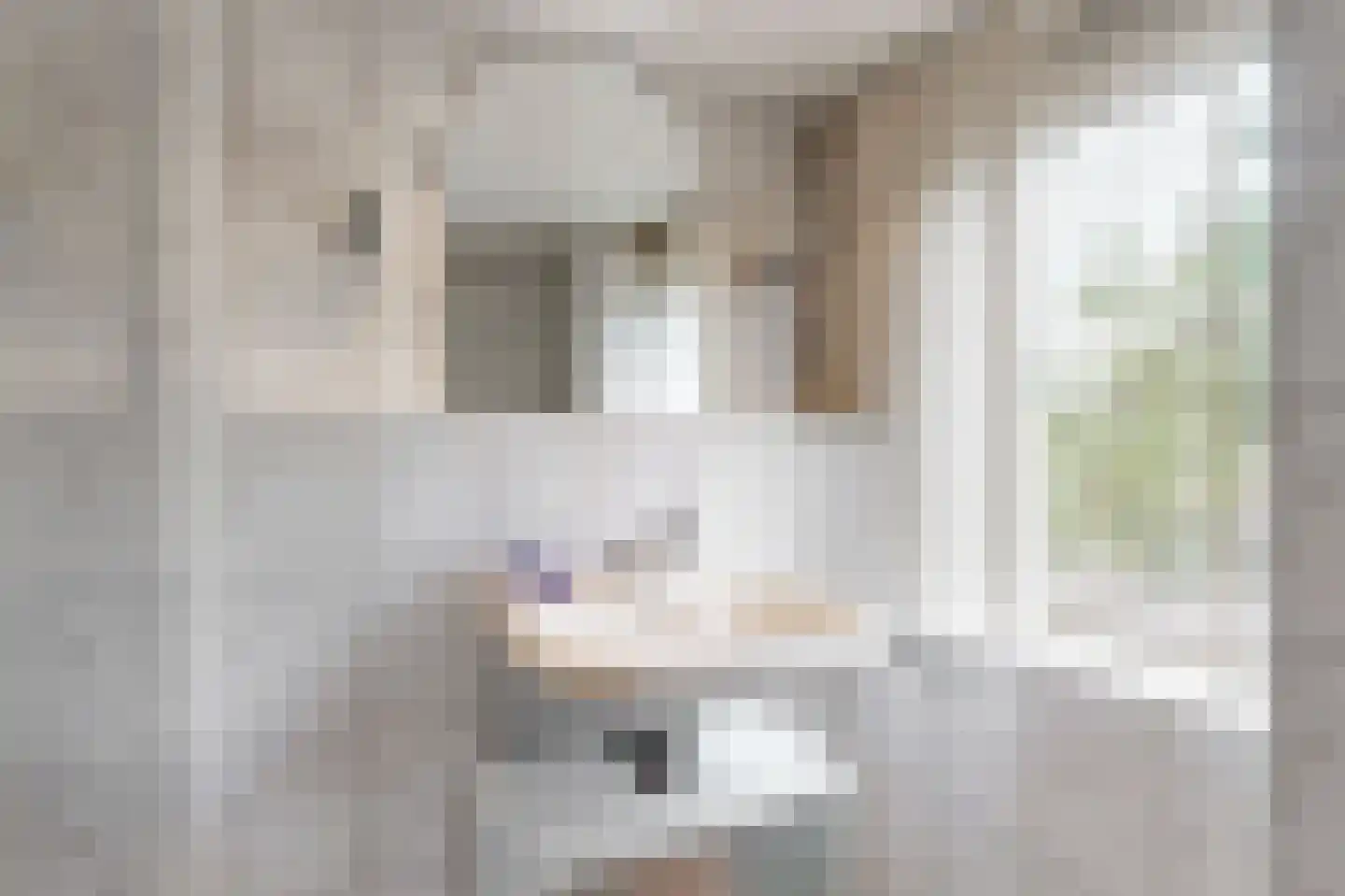 Pieter Florisstraat 15 Hoorn thumbnail 22