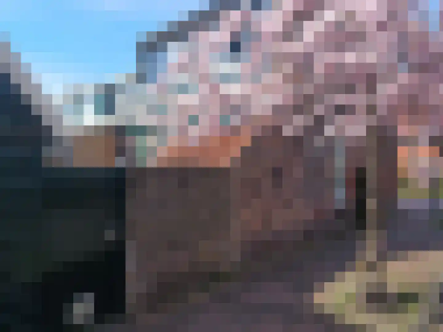 Pieter Florisstraat 15 Hoorn thumbnail 24
