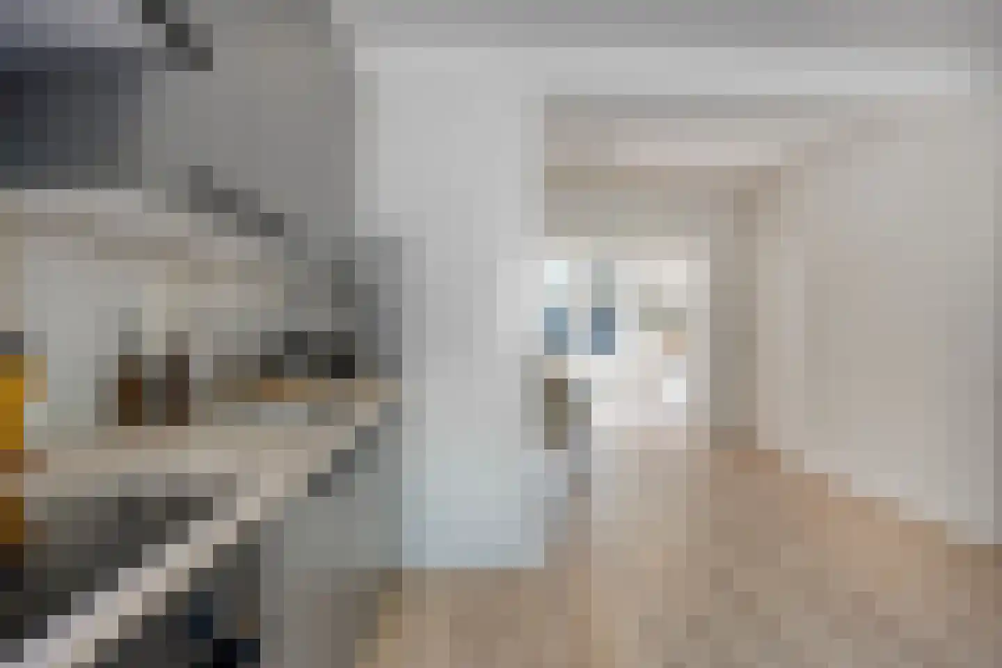 Pieter Florisstraat 26 Hoorn thumbnail 10