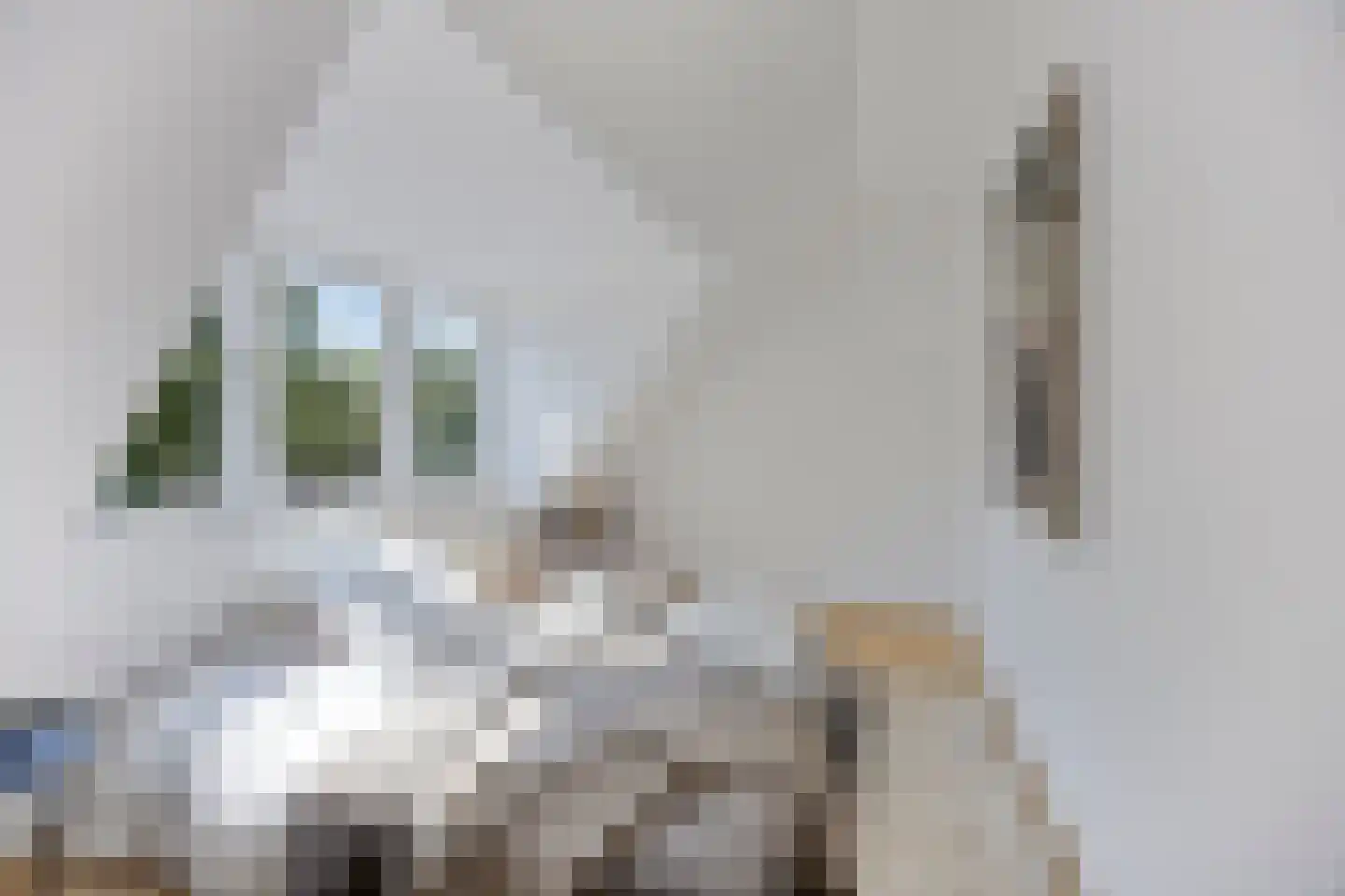 Pieter Florisstraat 26 Hoorn thumbnail 14