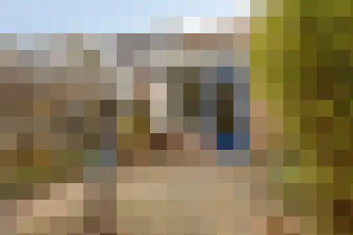 Pieter Florisstraat 26 Hoorn thumbnail 22