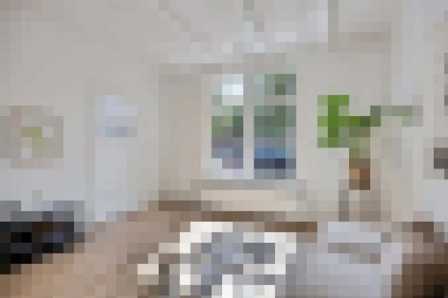 Pieter Florisstraat 26 Hoorn thumbnail 6