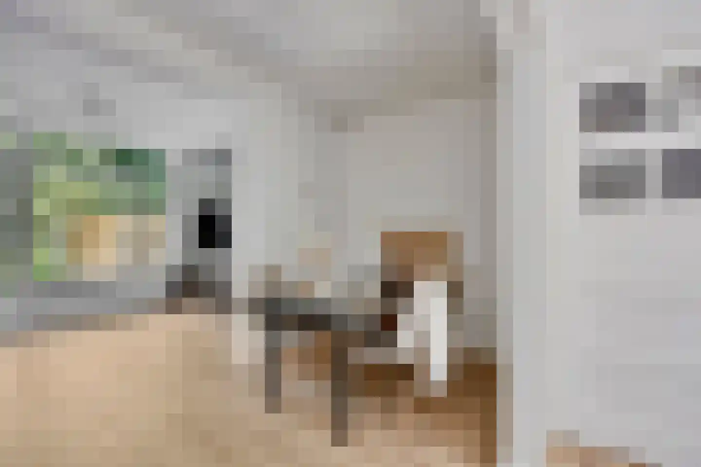 Pieter Florisstraat 26 Hoorn thumbnail 7