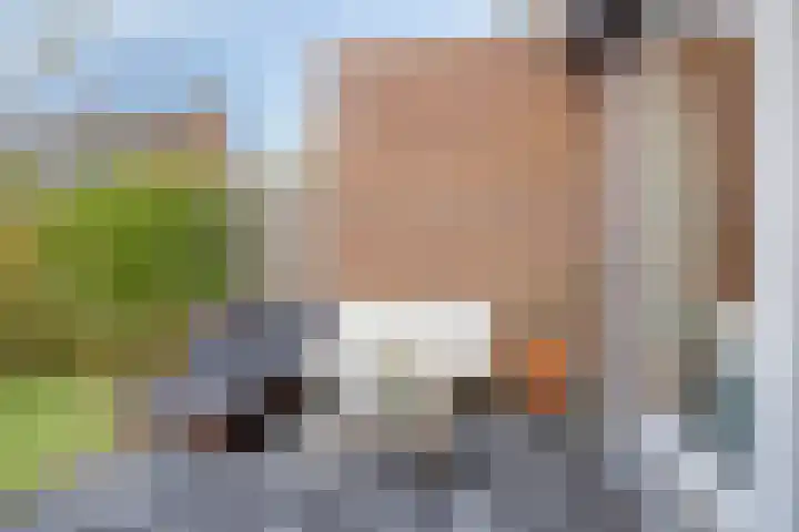 Pieter Florisstraat 36 's-Hertogenbosch thumbnail 26