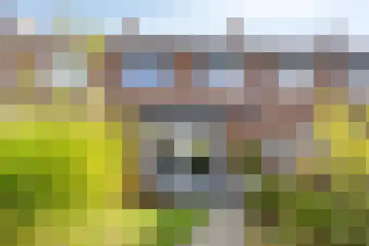 Pieter Florisstraat 36 's-Hertogenbosch thumbnail 27