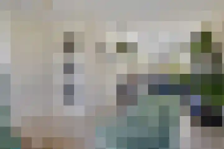 Pieter Florisstraat 36 's-Hertogenbosch thumbnail 6