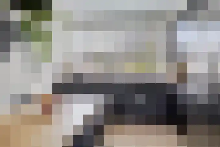 Pieter Florisstraat 36 's-Hertogenbosch thumbnail 8