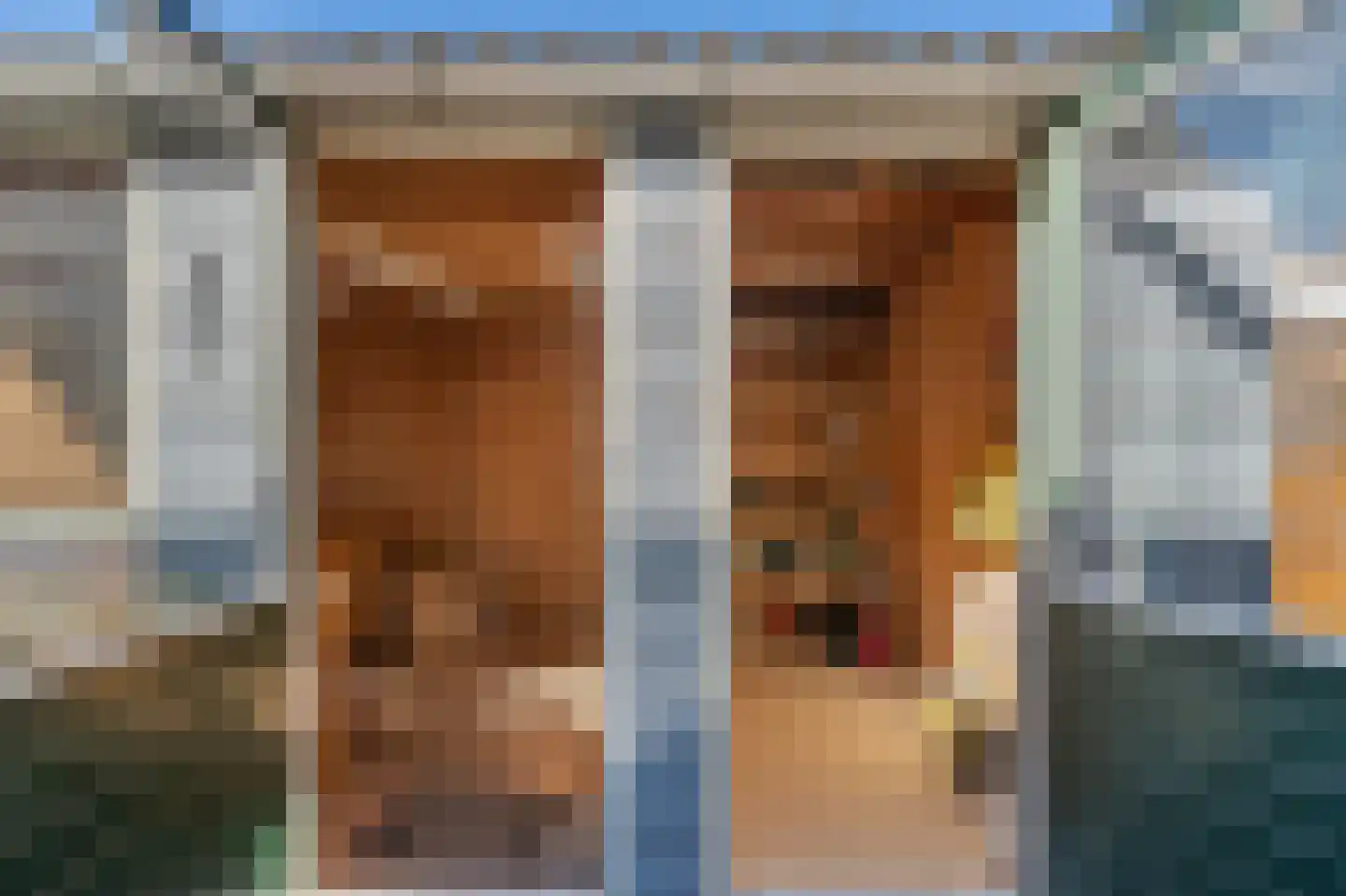 Pieter Gerritszn Visstraat 15 Zaandijk thumbnail 14