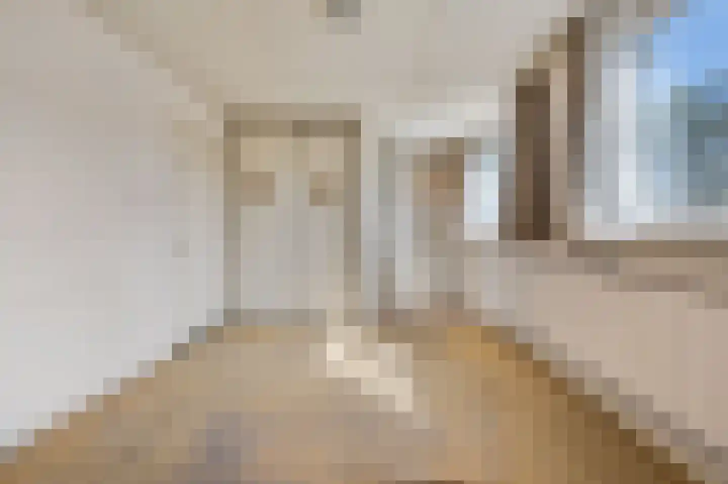 Pieter Gerritszn Visstraat 15 Zaandijk thumbnail 16