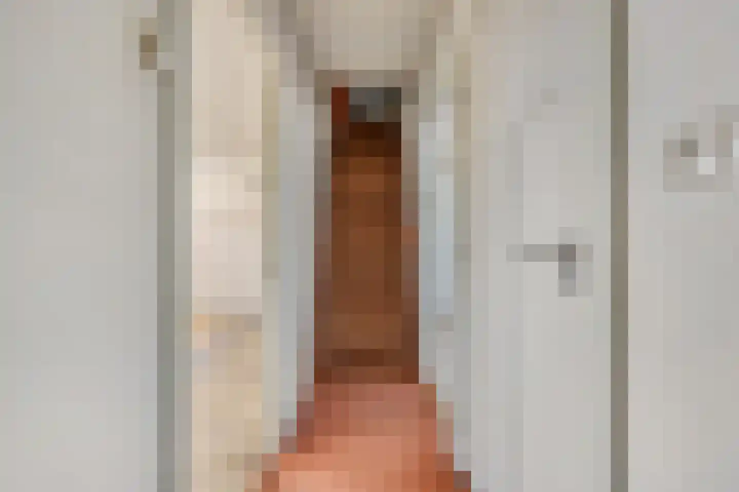 Pieter Gerritszn Visstraat 15 Zaandijk thumbnail 23