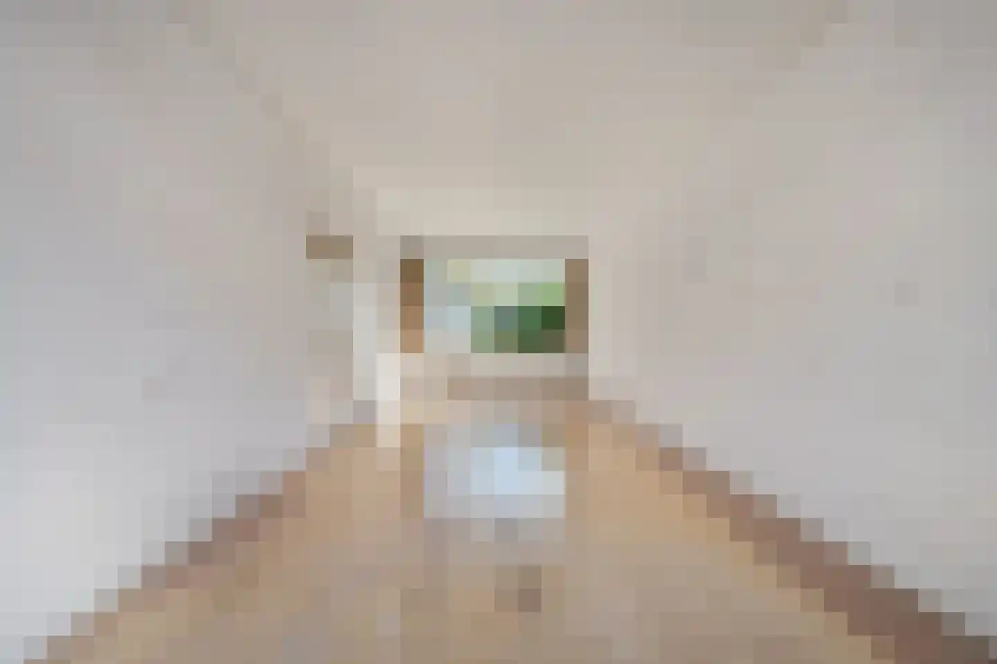 Pieter Gerritszn Visstraat 15 Zaandijk thumbnail 5