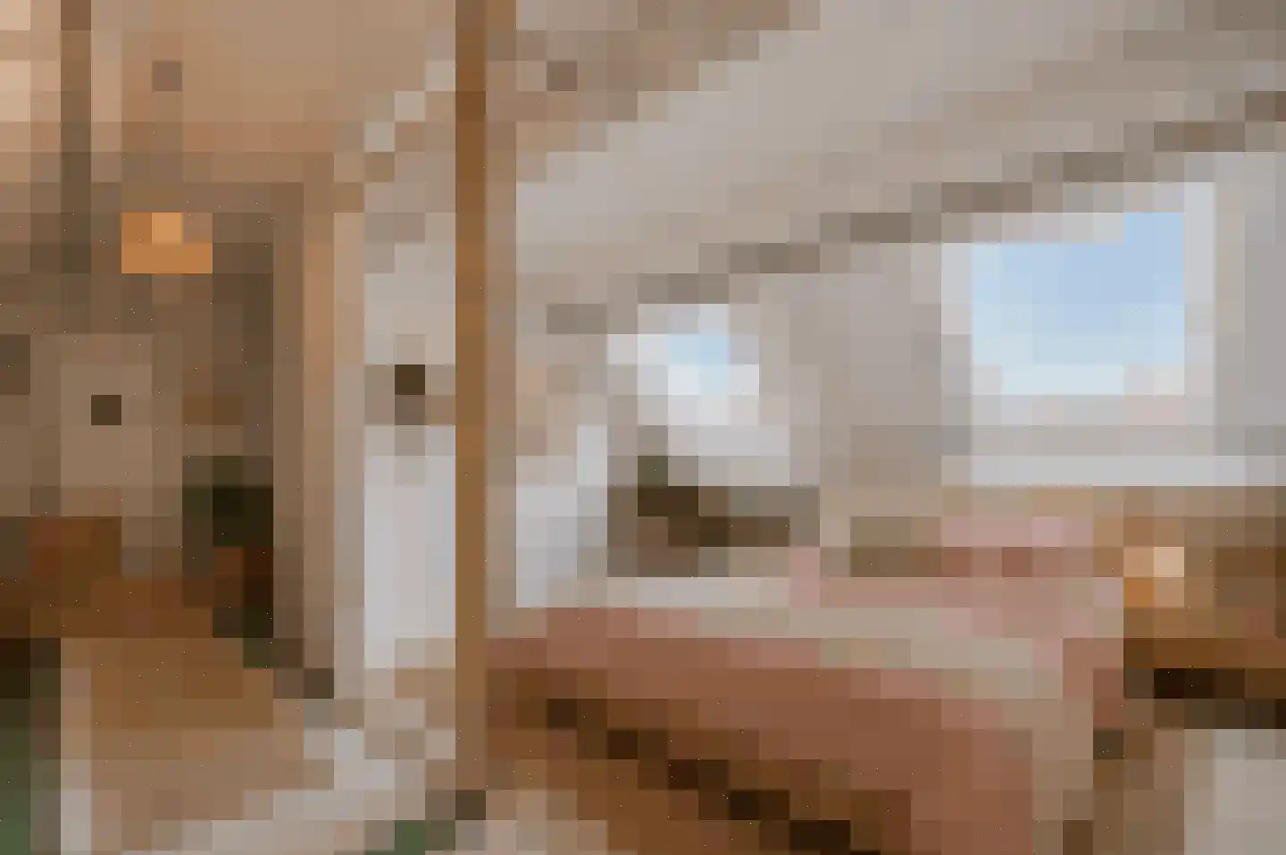 Pieter Gerritszn Visstraat 15 Zaandijk thumbnail 6