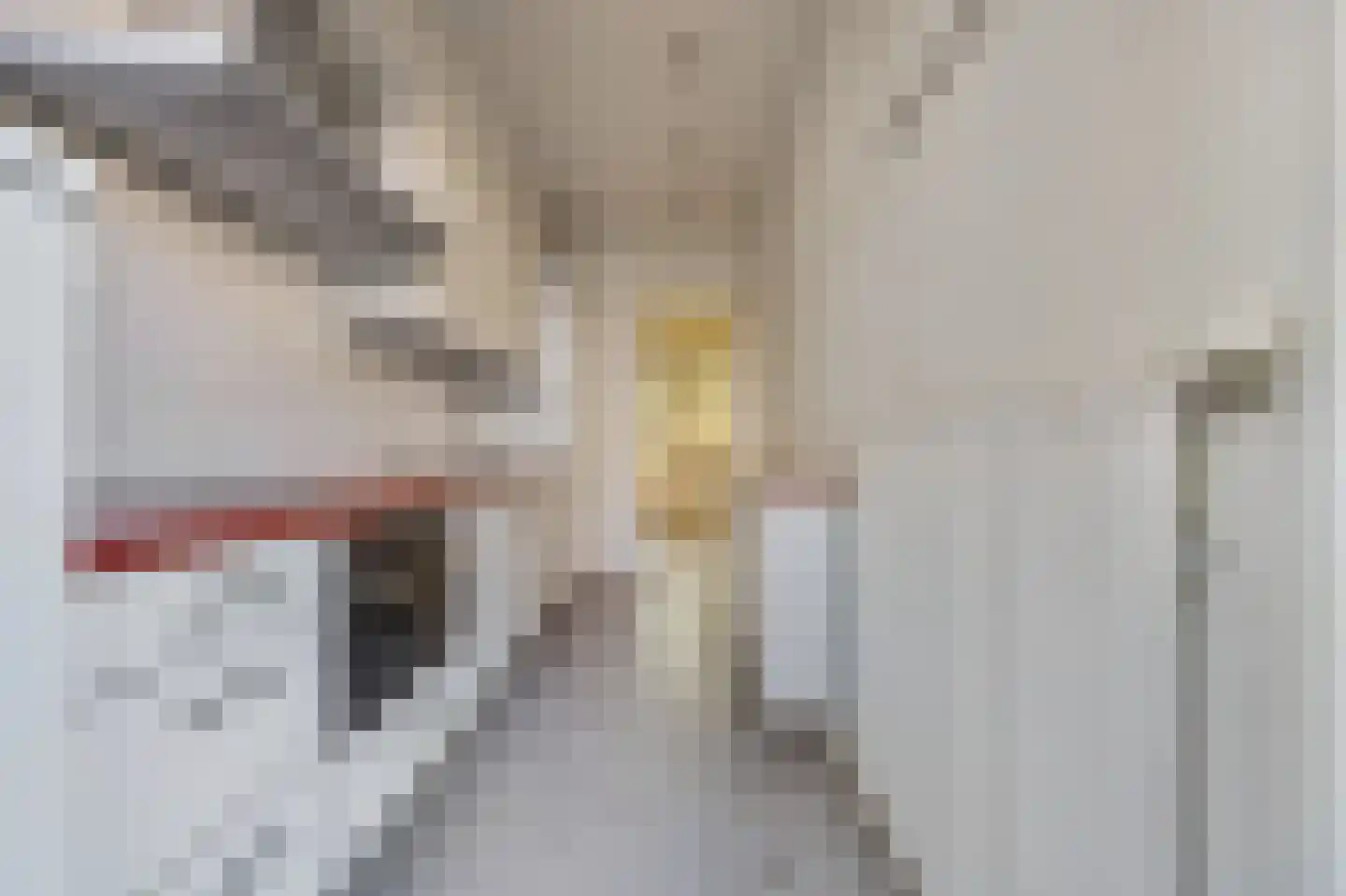 Pieter Gerritszn Visstraat 15 Zaandijk thumbnail 7