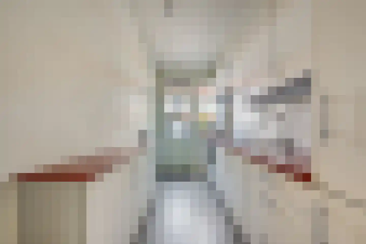 Pieter Gerritszn Visstraat 15 Zaandijk thumbnail 8