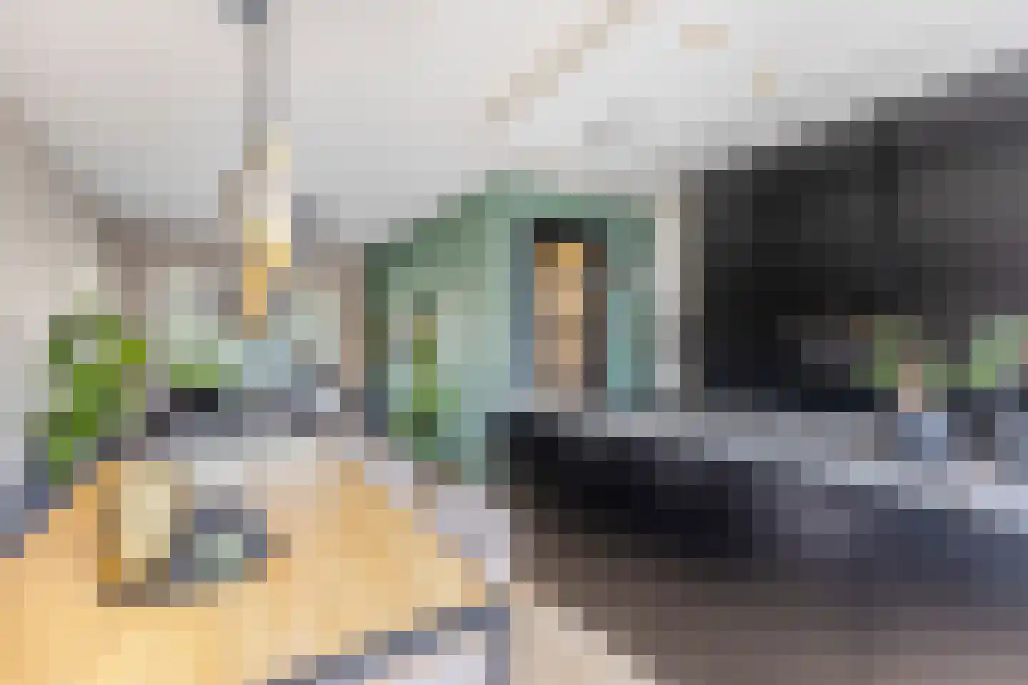 Pieter Gerritszn Visstraat 9 Zaandijk thumbnail 10