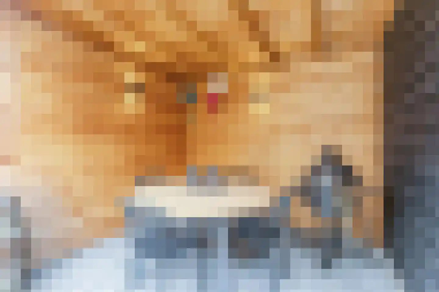 Pieter Gerritszn Visstraat 9 Zaandijk thumbnail 12