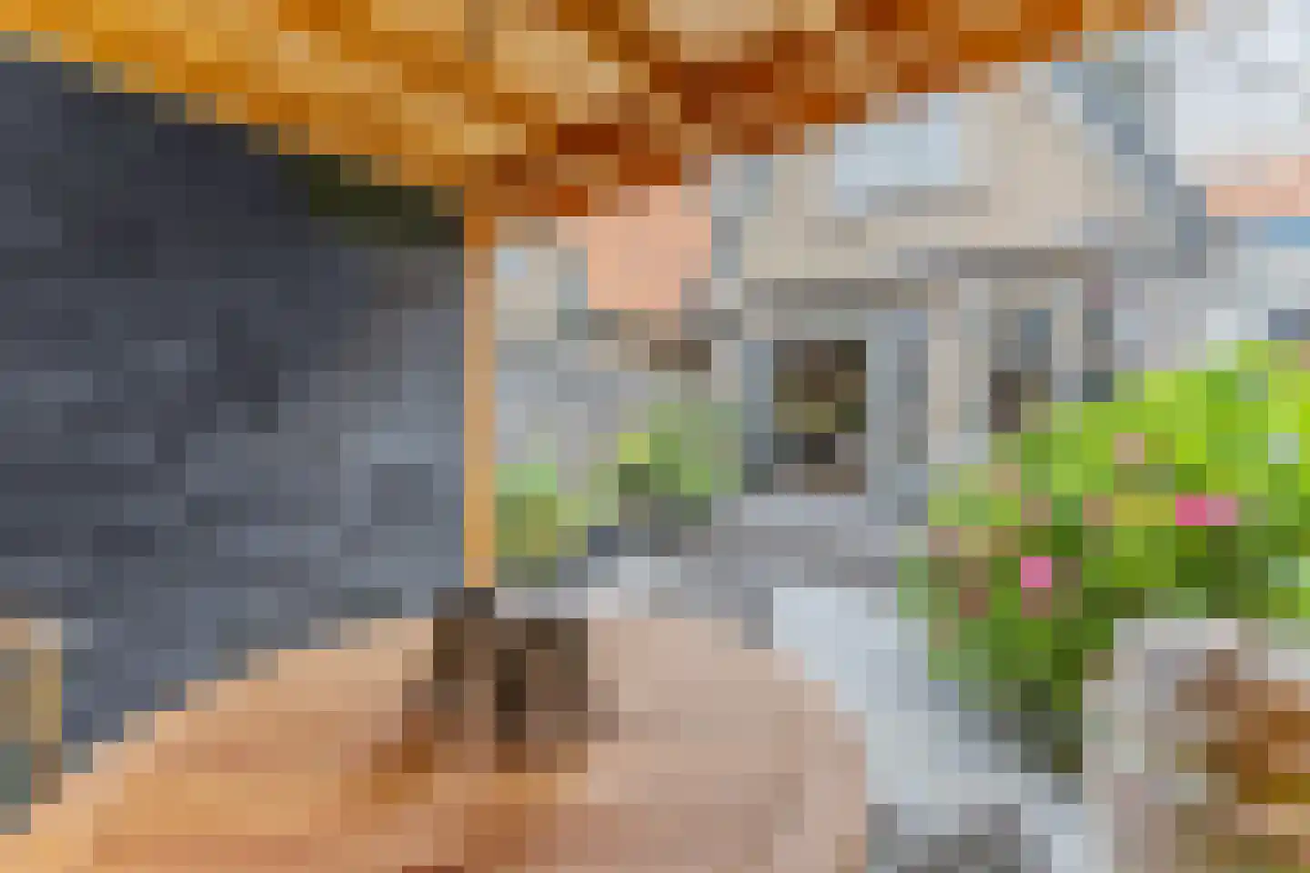 Pieter Gerritszn Visstraat 9 Zaandijk thumbnail 13