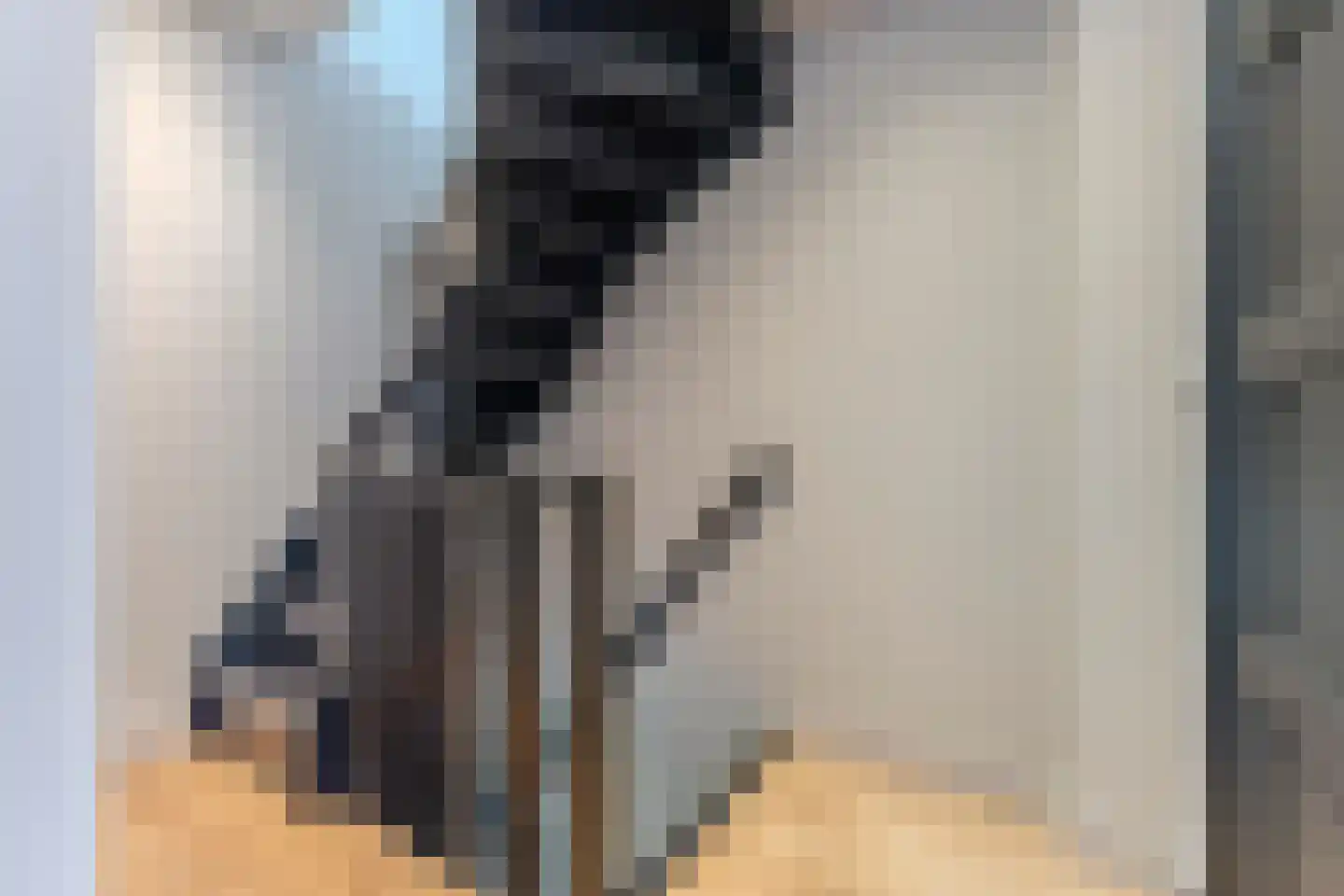 Pieter Gerritszn Visstraat 9 Zaandijk thumbnail 17