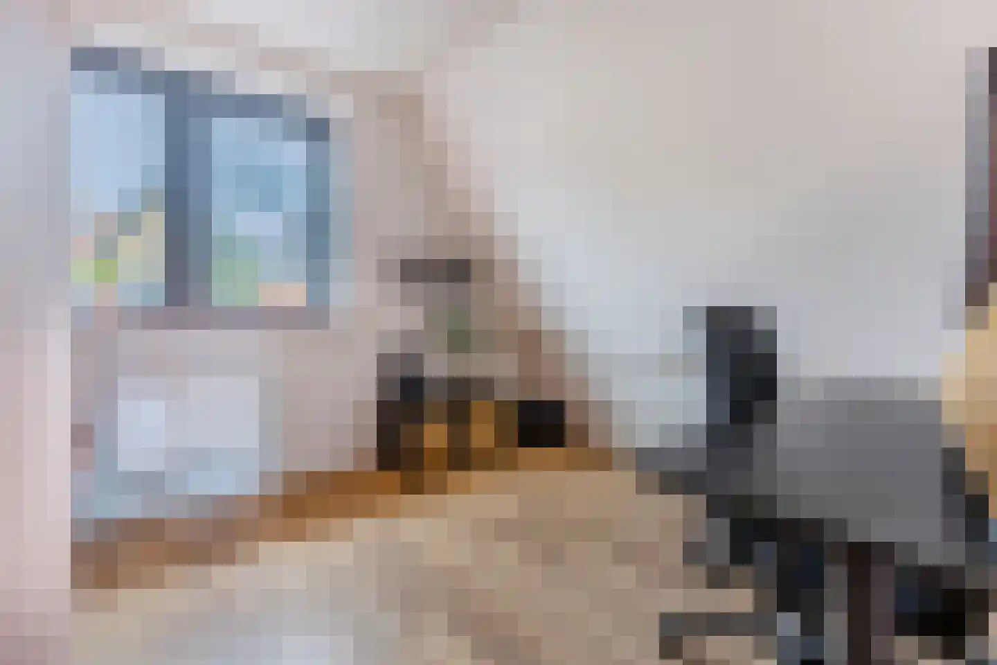 Pieter Gerritszn Visstraat 9 Zaandijk thumbnail 22
