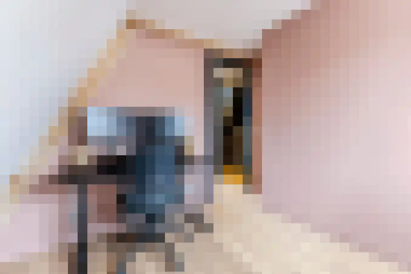 Pieter Gerritszn Visstraat 9 Zaandijk thumbnail 24
