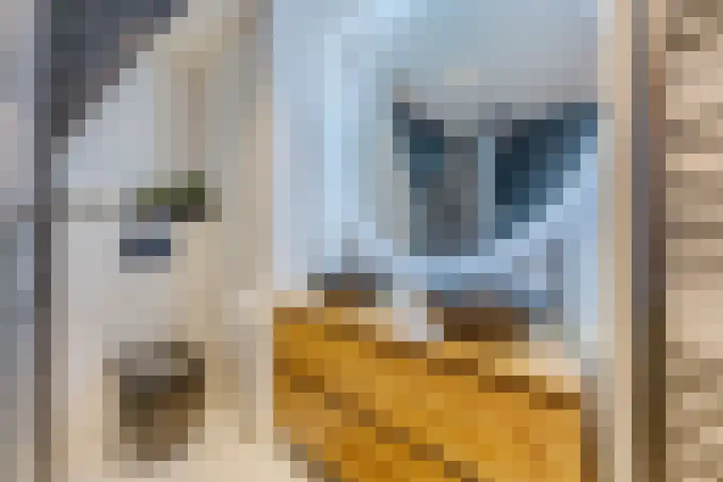 Pieter Gerritszn Visstraat 9 Zaandijk thumbnail 25