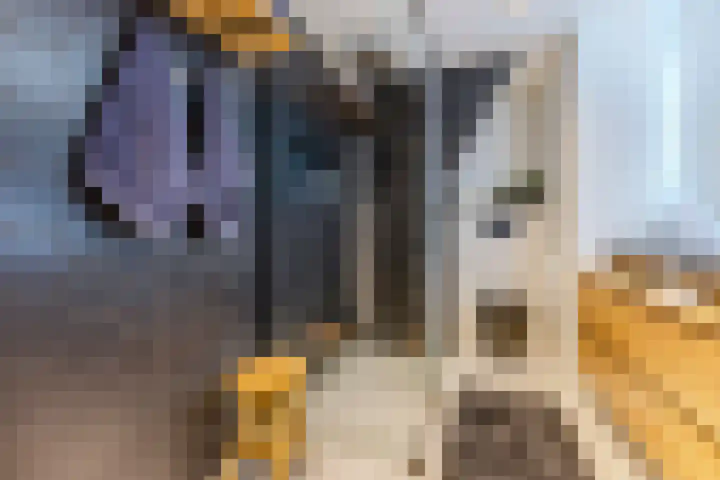 Pieter Gerritszn Visstraat 9 Zaandijk thumbnail 26