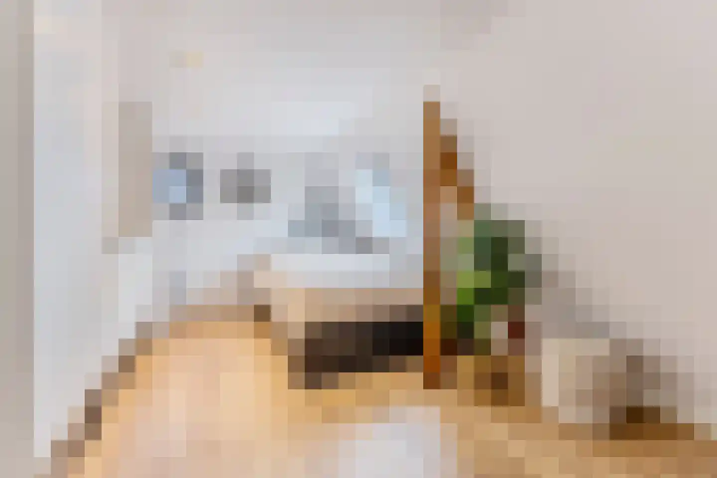 Pieter Gerritszn Visstraat 9 Zaandijk thumbnail 27