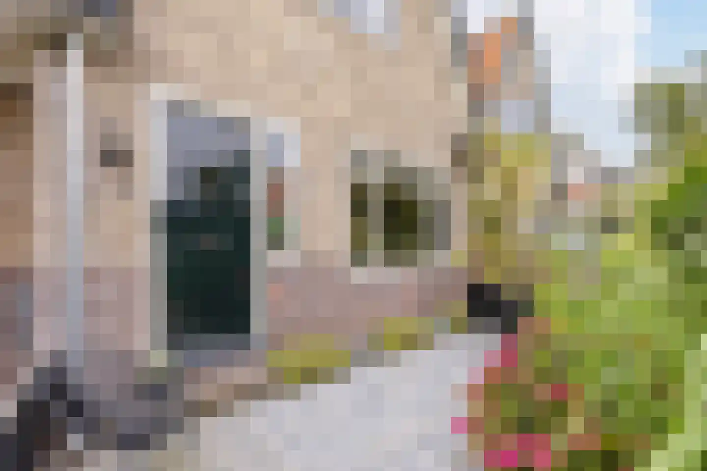 Pieter Gerritszn Visstraat 9 Zaandijk thumbnail 29