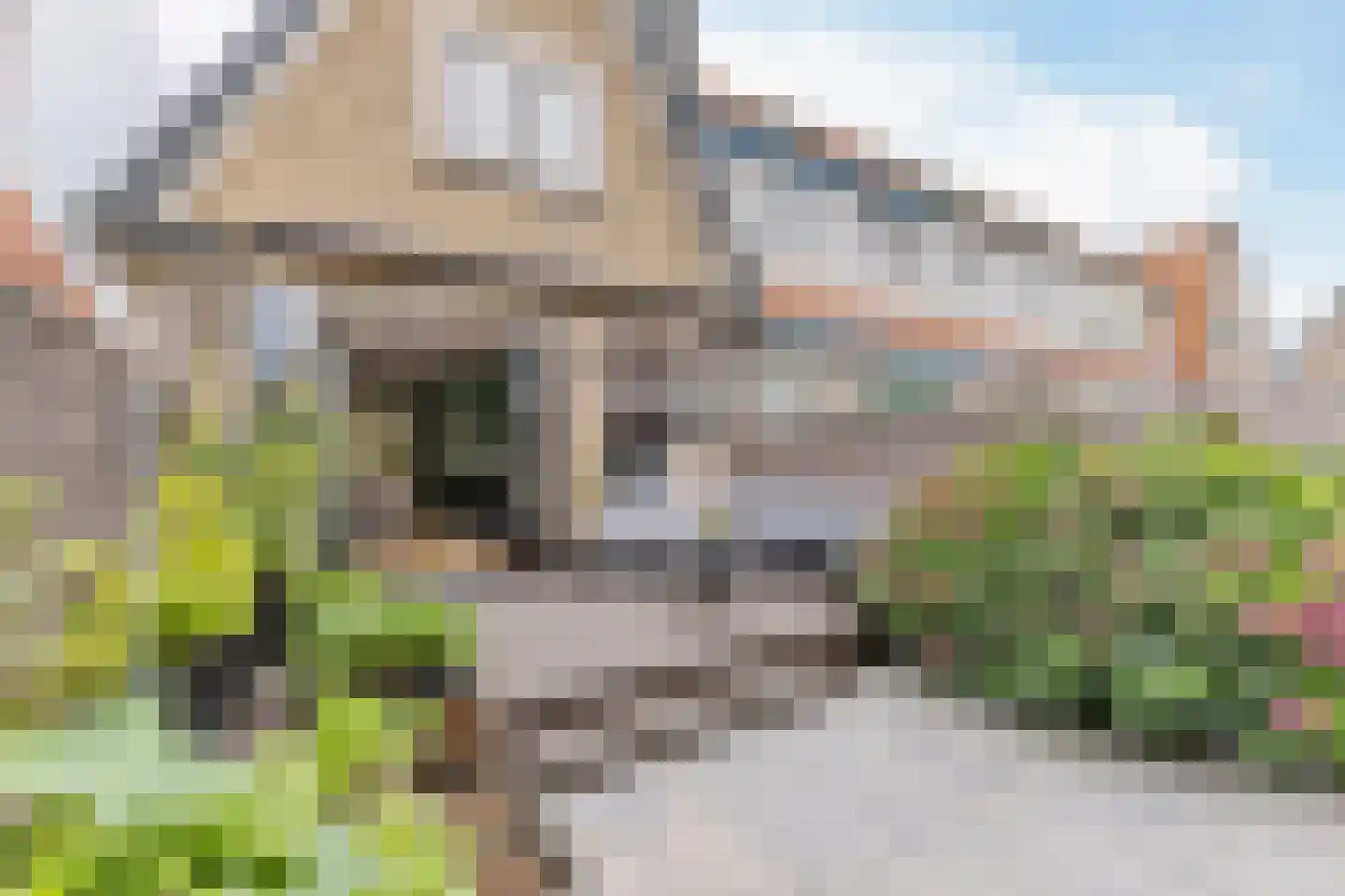 Pieter Gerritszn Visstraat 9 Zaandijk thumbnail 4